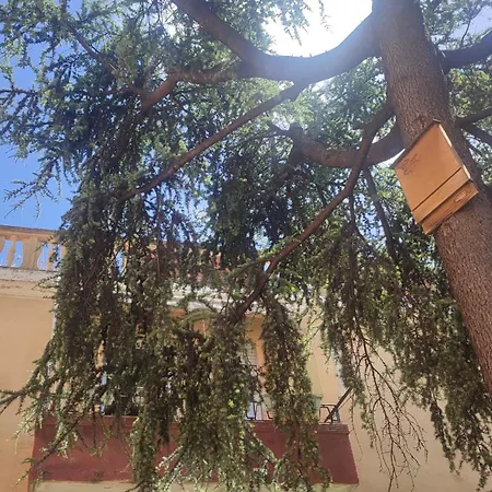 Casa Gialloblu Imperia