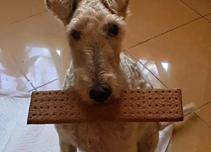 Casa Gialloblu Διαμέρισμα Imperia